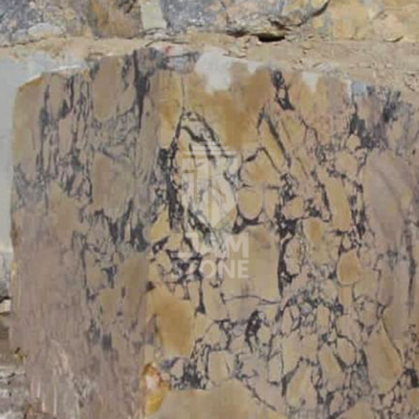 Leopard-Marble-Granite-Slab-Block-Tile-Iran-manufacturer-supplier-quarry-factory-owner