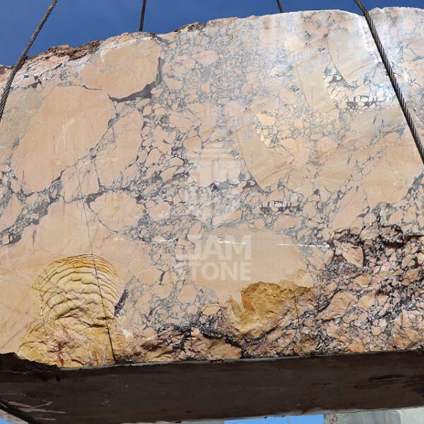 Leopard-Marble-Granite-Slab-Block-Tile-Iran-manufacturer-supplier-quarry-factory-owner