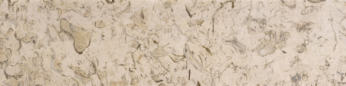 White-Fossil-Marble-Slab-Block-Tile-Iran-manufacturer-supplier-quarry-factory-owner-