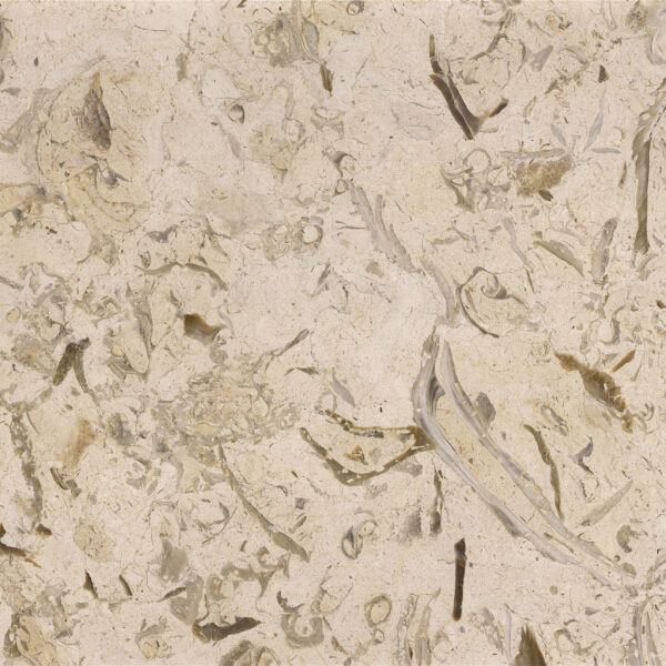 White-Fossil-Marble-Slab-Block-Tile-Iran-manufacturer-supplier-quarry-factory-owner-