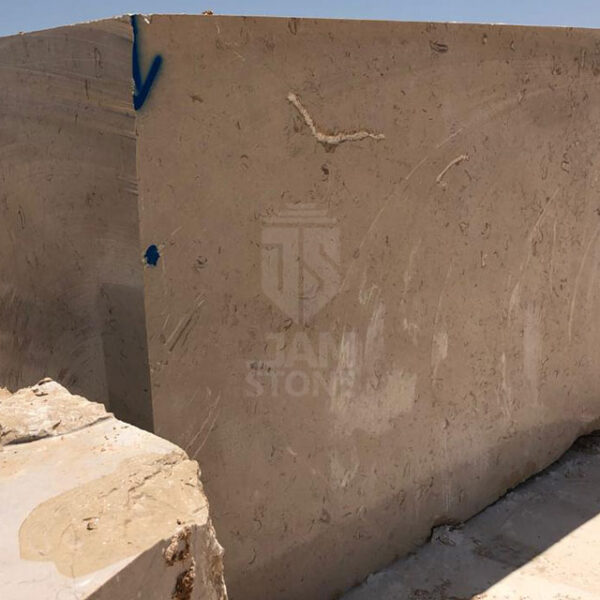 White-Fossil-Marble-Slab-Block-Tile-Iran-manufacturer-supplier-quarry-factory-owner-