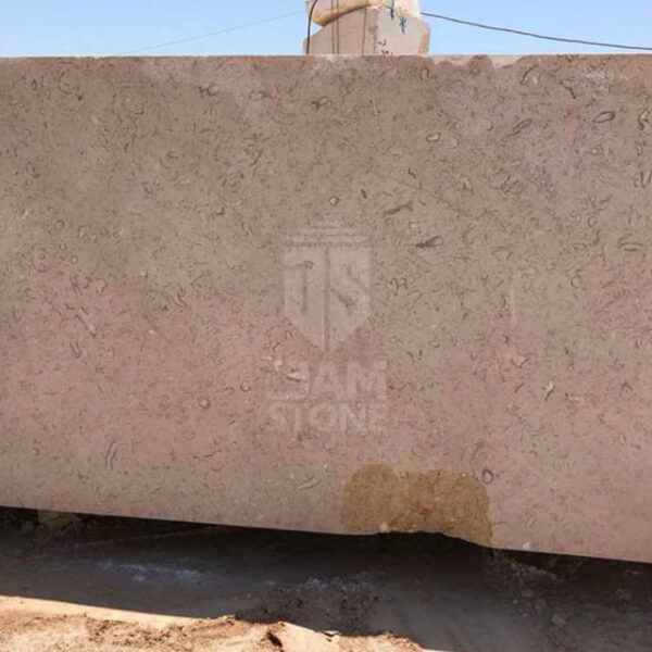 White-Fossil-Marble-Slab-Block-Tile-Iran-manufacturer-supplier-quarry-factory-owner-