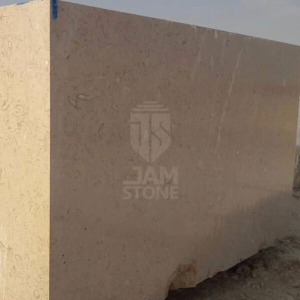 White-Fossil-Marble-Slab-Block-Tile-Iran-manufacturer-supplier-quarry-factory-owner-