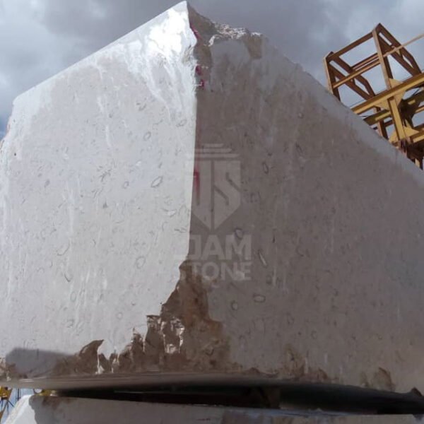White-Fossil-Marble-Slab-Block-Tile-Iran-manufacturer-supplier-quarry-factory-owner-
