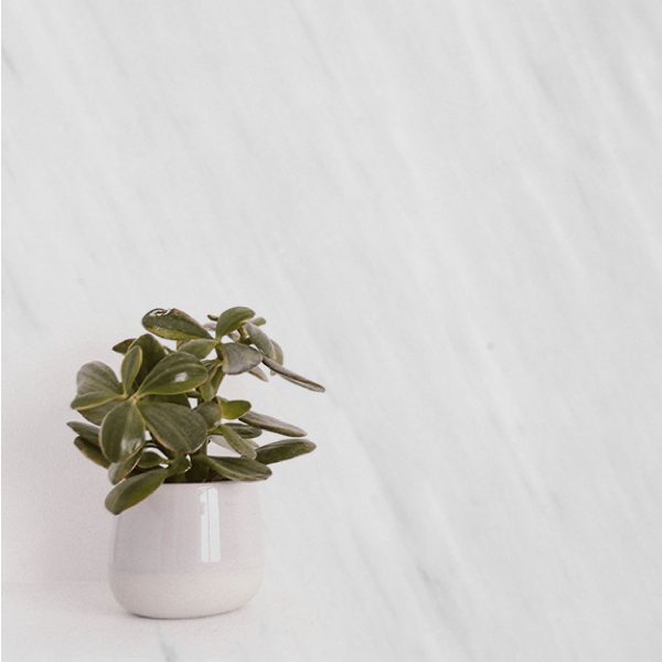 014-persian-bianco-alanur-marble