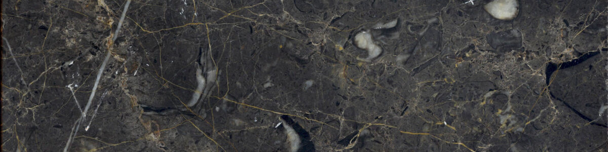 Golden-Black-Marble-Slab-Block-Tile-Iran-manufacturer-supplier-quarry-factory-owner