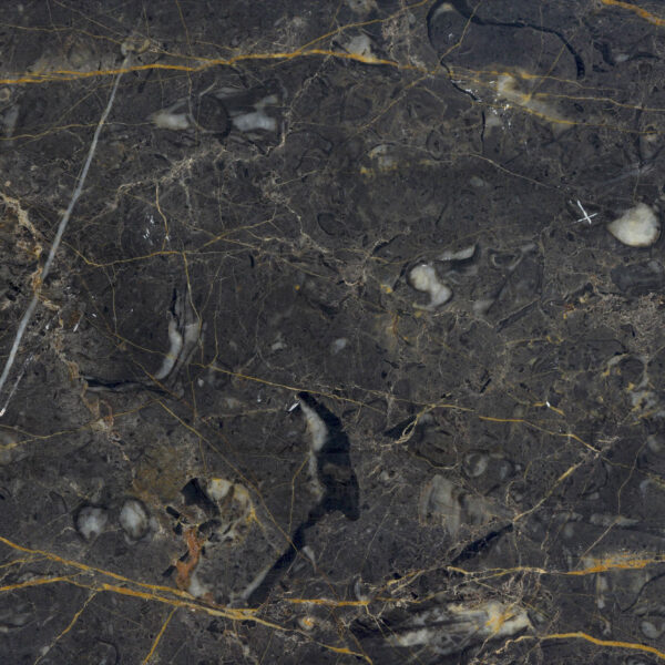 Golden-Black-Marble-Slab-Block-Tile-Iran-manufacturer-supplier-quarry-factory-owner